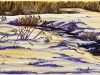 Les marais de la Petitcodiac en hiver